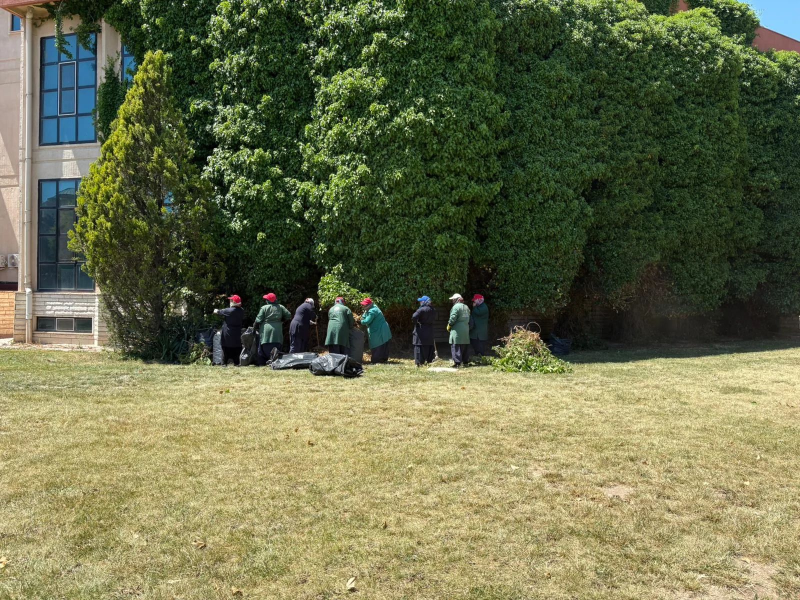 Kütüphane Çevresine Yeşil Dokunuş